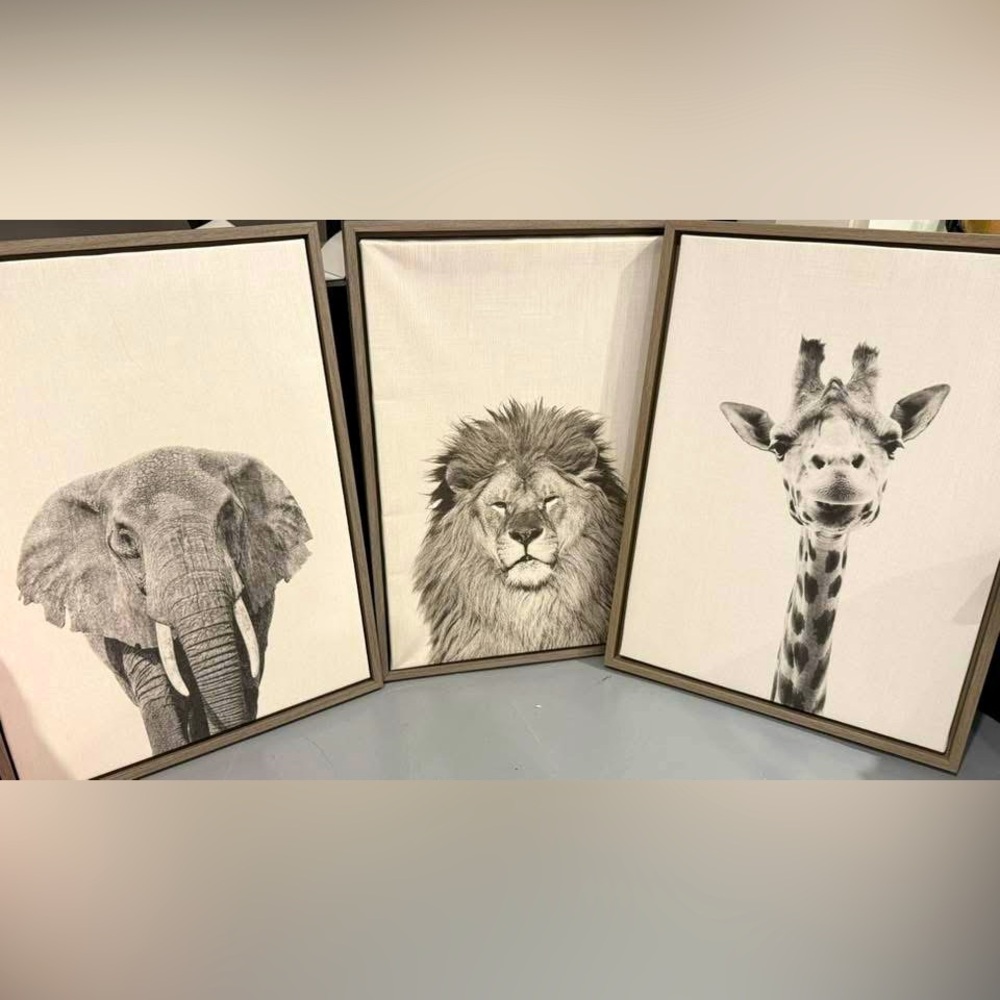 18x24 Framed Canvases - Picture 1 of 1